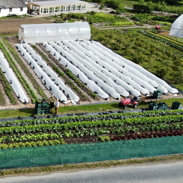 Palleshavegaard - biodynamisk landbrug og pædagogisk tilbud